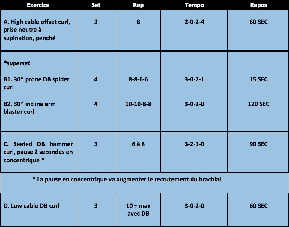 exercices biceps - entraînement biceps