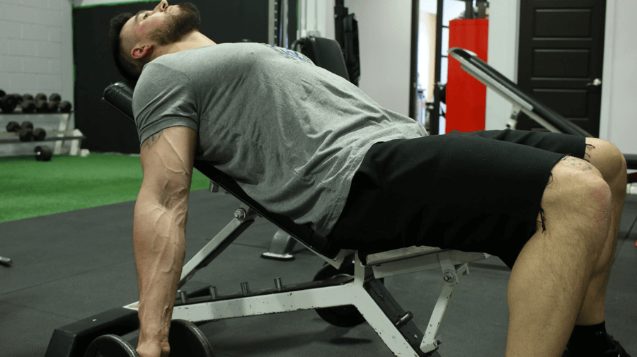 exercices biceps - incline curl