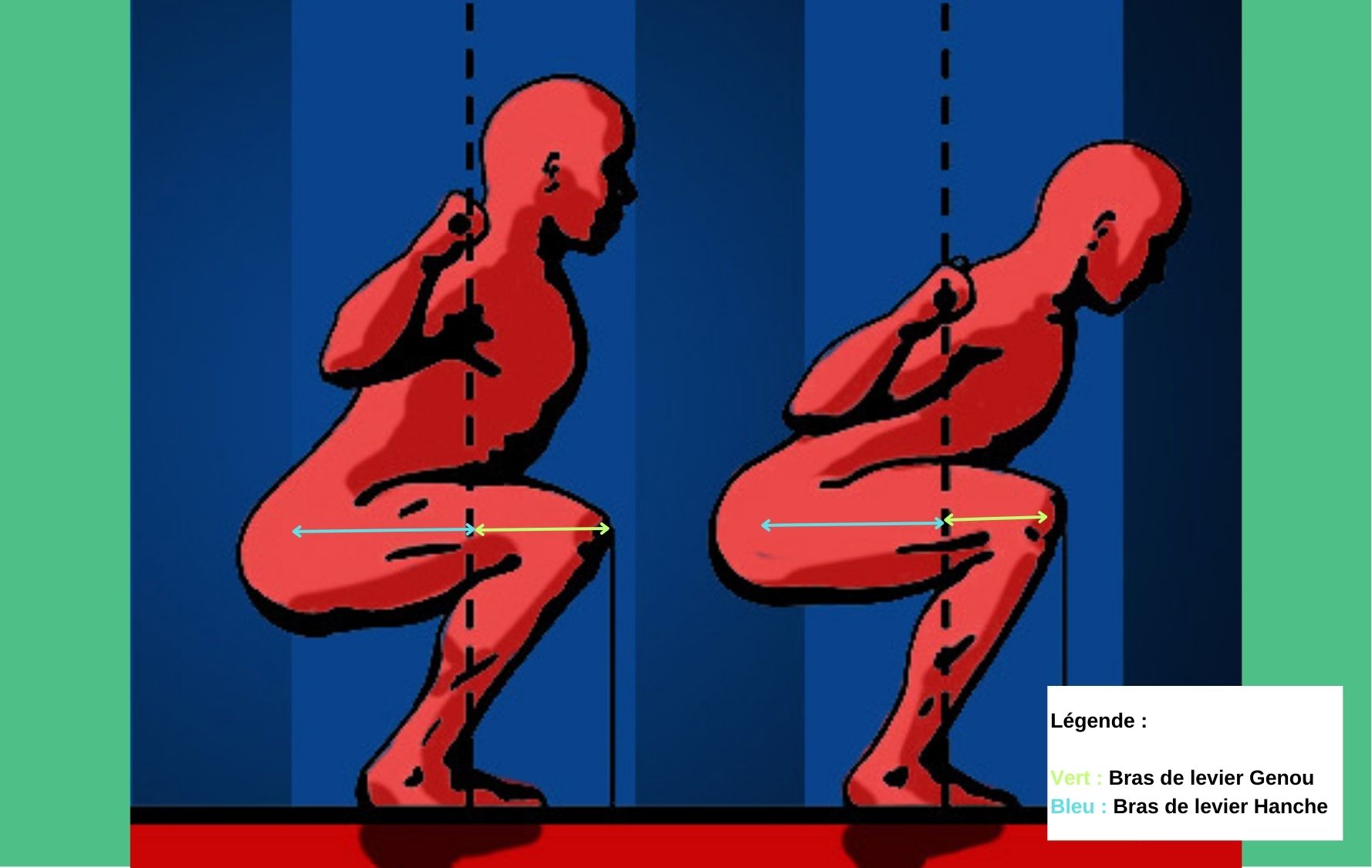 Squat Comparaison High Bar Vs Low Bar squat-comparaison-high-bar-vs-low-bar
