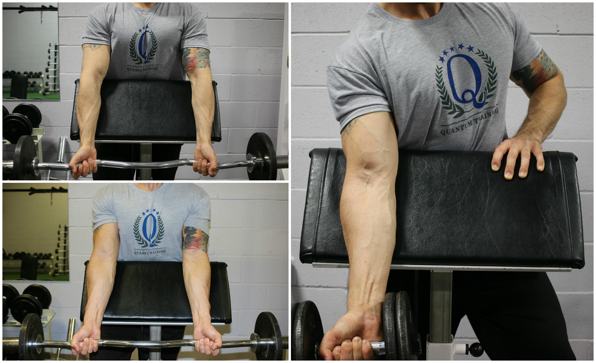 Exercices biceps 5 principes pour un développement optimal