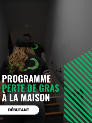 programme perte de gras maison debutant