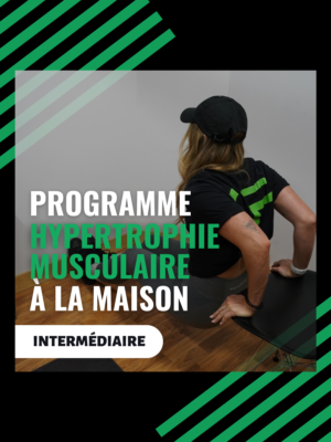 programme entrainement fd fitness