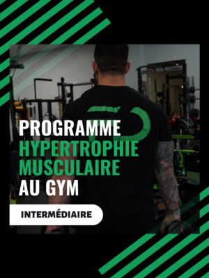 programme entrainement fd fitness hypertrophie gym intermediaire