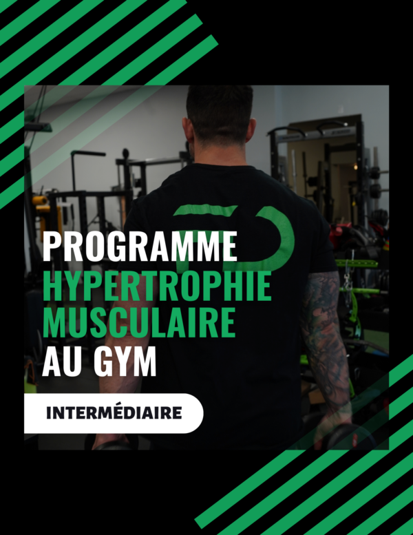 programme entrainement fd fitness hypertrophie gym intermediaire